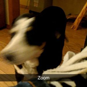 Meet your Posher, Dean